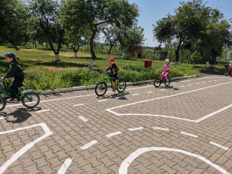Гонки на велосипедах и самокатах – 2023.